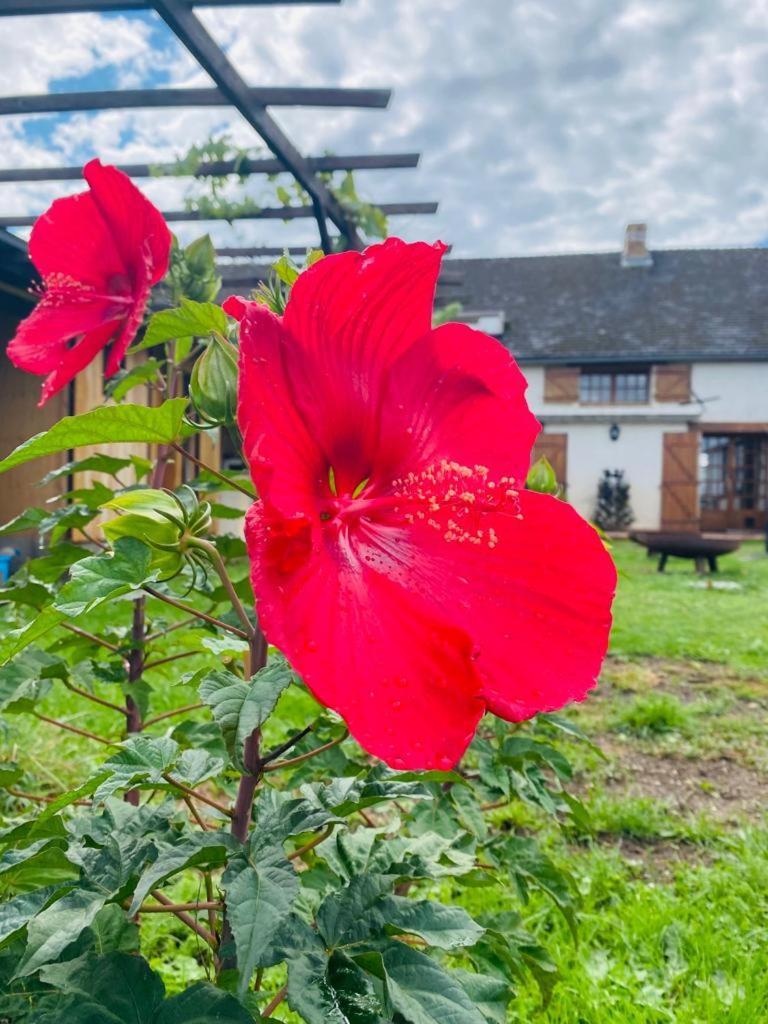 Bed and Breakfast Le Chene D'Or Marcheseuil Екстер'єр фото